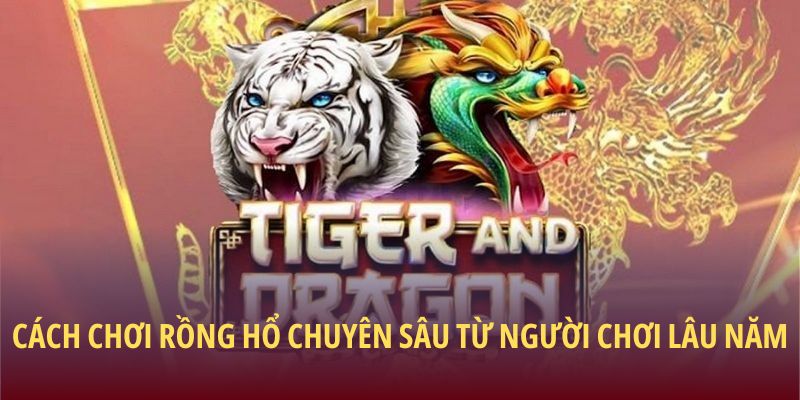 Cách chơi Rồng Hổ chuyên sâu từ người chơi lâu năm
