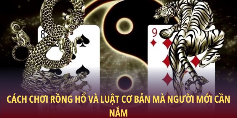 Cách chơi Rồng Hổ và luật cơ bản mà người mới cần nắm