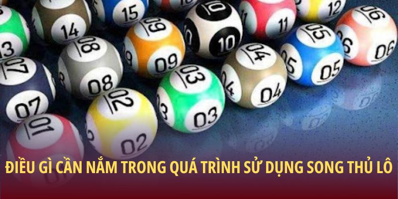 Điều gì cần nắm trong quá trình sử dụng song thủ lô