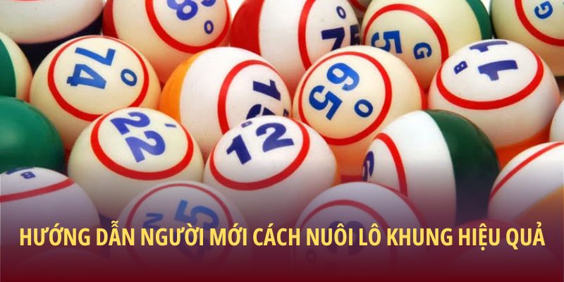 Hướng dẫn người mới cách nuôi lô khung hiệu quả