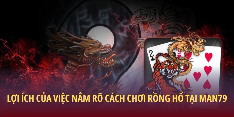 Lợi ích của việc nắm rõ cách chơi Rồng Hổ tại Man79