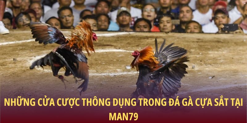 Những cửa cược thông dụng trong đá gà cựa sắt tại Man79