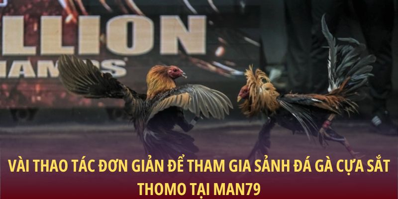 Vài thao tác đơn giản để tham gia sảnh đá gà cựa sắt thomo tại Man79